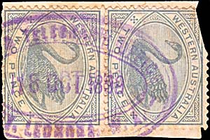 Mt Leonora 1899